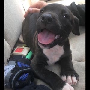 Meet your Posher, Jacob